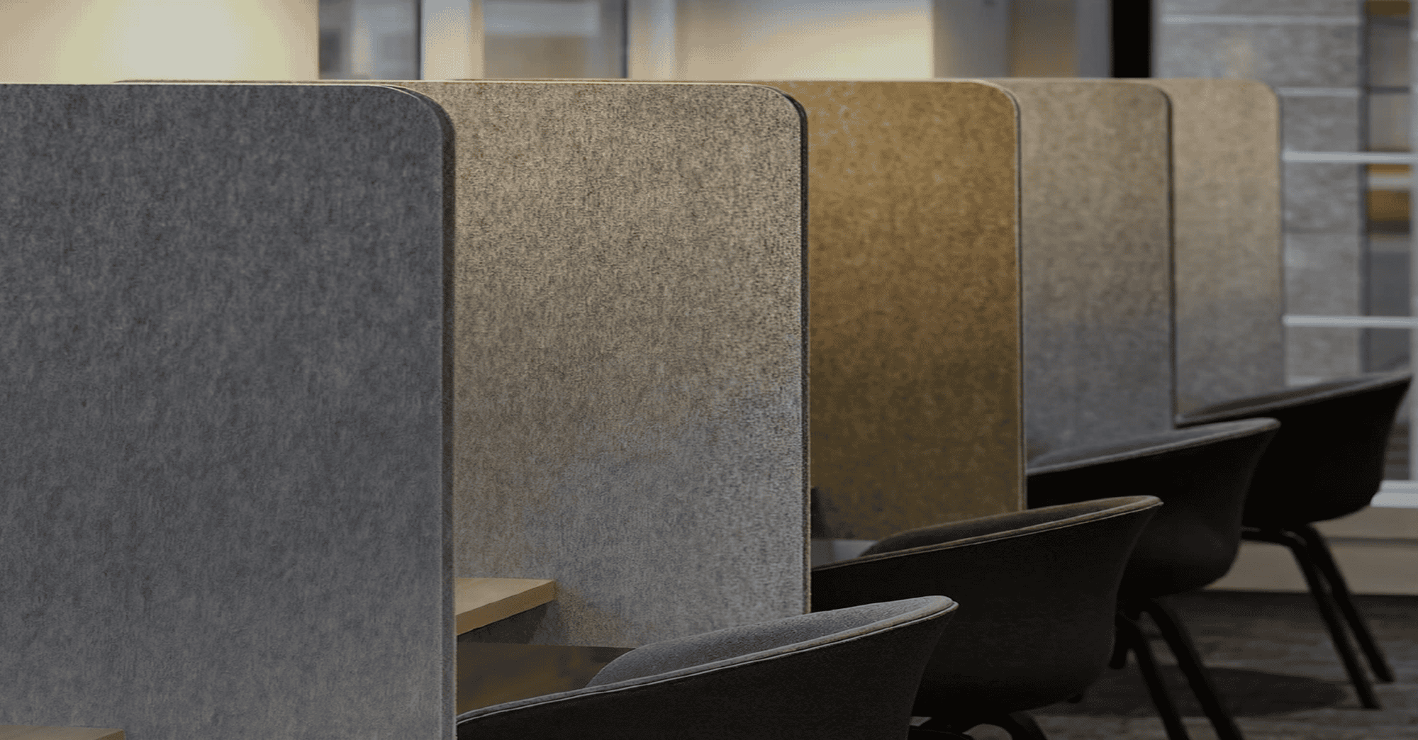 Noise Survey bg compressed