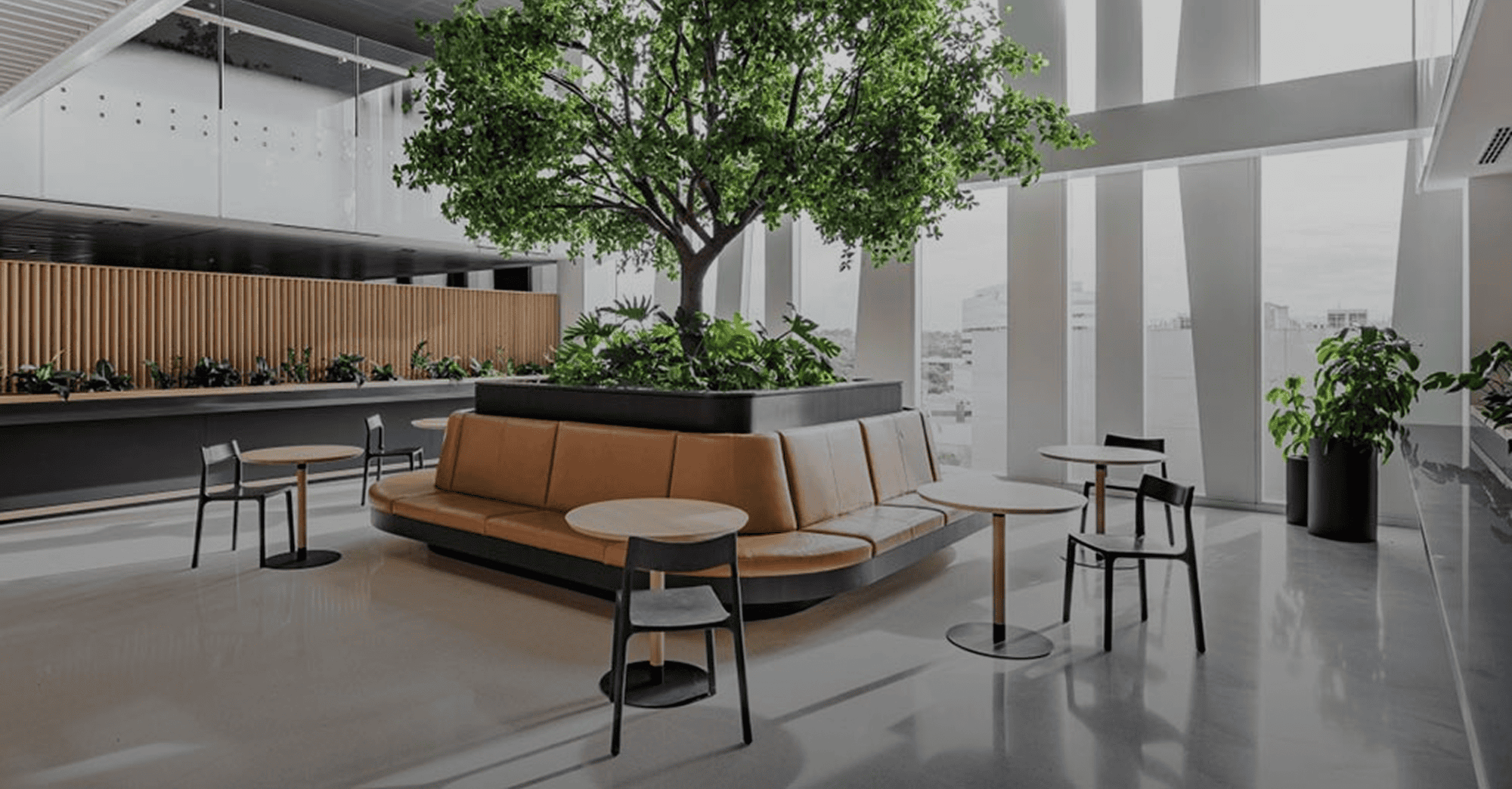 Turnkey Acoustic bg compressed